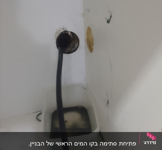 צינור שחור בתוך דלי עם מים מלוכלכים